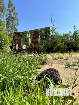 Дом 50м², 1-этажный, посуточно,