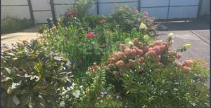 Дом 110м², 2-этажный, участок 10 сот.