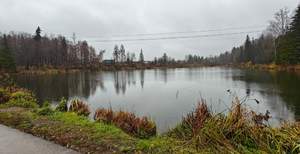 Дом 60м², 1-этажный, участок 4 сот.