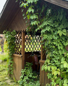 Дом 40м², 2-этажный, участок 800 сот.