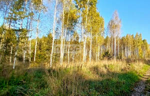 Дом 100м², 1-этажный, участок 10 сот.