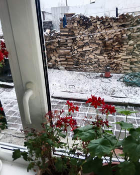 Дом 79м², 2-этажный, участок 4 сот.