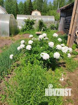 Дом 16м², 1-этажный, участок 5 сот.