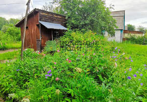 Дом 50м², 2-этажный, участок 4 сот.