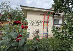 Дом 41м², 1-этажный, участок 4 сот.  