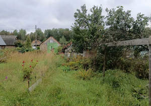 Дом 50м², 2-этажный, участок 4 сот.  