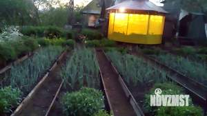 Дом 50м&sup2;, 2-этажный, участок 12 сот.  