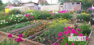 Дом 50м&sup2;, 2-этажный, участок 12 сот.  