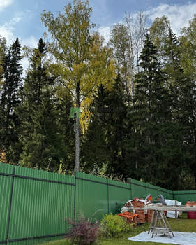 Дом 60м&sup2;, 1-этажный, участок 9 сот.  