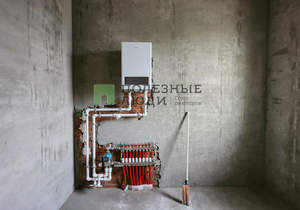 Дом 100м&sup2;, 1-этажный, участок 10 сот.  