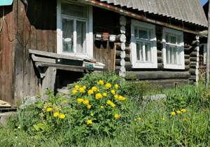 Дом 50м², 2-этажный, участок 4 сот.  