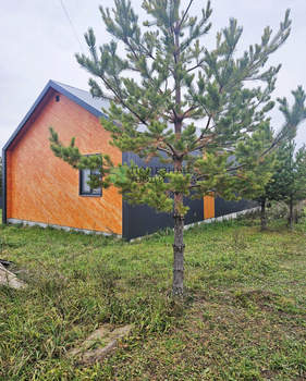 Дом 103м&sup2;, 1-этажный, участок 10 сот.  