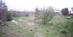 Дом 90м&sup2;, 2-этажный, участок 7 сот.  