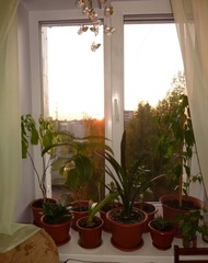 Фото комнаты на продажу (3)