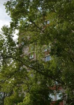 Студия квартира, на длительный срок, 28м2, 5/9 этаж