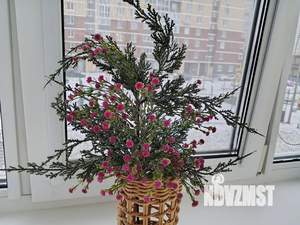 1-к квартира, посуточно, 39м2, 3/14 этаж