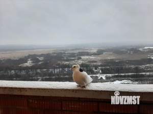 Студия квартира, на длительный срок, 26м2, 16/19 этаж