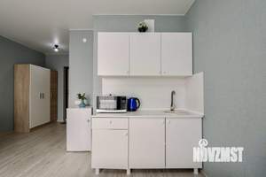 Студия квартира, посуточно, 24м2, 14/17 этаж