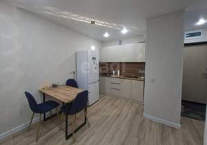 1-к квартира, на длительный срок, 36м2, 13/17 этаж