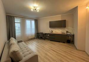 Студия квартира, на длительный срок, 27м2, 17/17 этаж