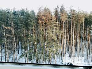 2-к квартира, посуточно, 66м2, 6/17 этаж