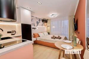 1-к квартира, посуточно, 25м2, 1/1 этаж