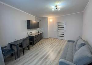 Студия квартира, на длительный срок, 27м2, 17/17 этаж