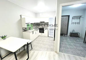 2-к квартира, на длительный срок, 41м2, 10/17 этаж