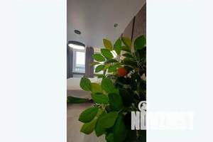 1-к квартира, посуточно, 35м2, 20/24 этаж