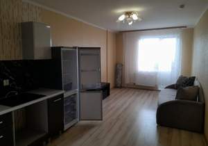 Студия квартира, на длительный срок, 25м2, 15/17 этаж