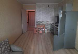 Студия квартира, на длительный срок, 25м2, 15/17 этаж