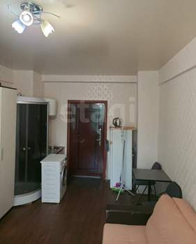 Студия квартира, на длительный срок, 19м2, 2/4 этаж