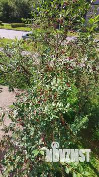 2-к квартира, на длительный срок, 50м2, 2/9 этаж