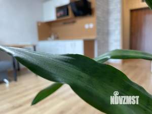 Студия квартира, на длительный срок, 27м2, 4/17 этаж