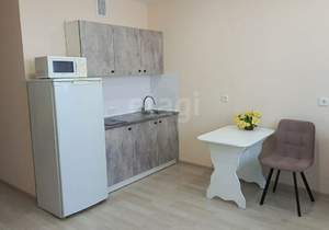 Студия квартира, на длительный срок, 22м2, 9/17 этаж