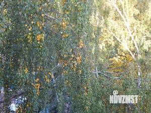 1-к квартира, на длительный срок, 33м2, 3/9 этаж