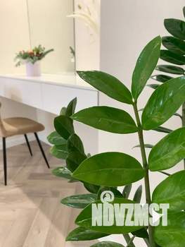 2-к квартира, посуточно, 45м2, 23/25 этаж