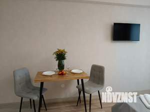 Студия квартира, посуточно, 24м2, 15/17 этаж