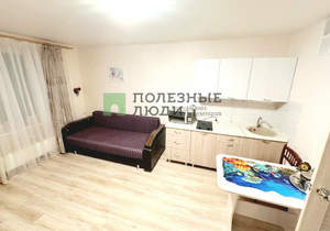 Студия квартира, на длительный срок, 26м2, 5/17 этаж