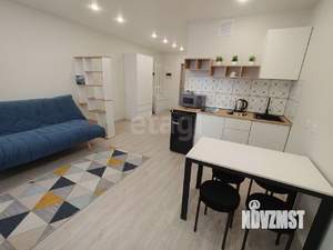 Студия квартира, на длительный срок, 25м2, 9/17 этаж