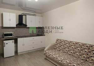 Студия квартира, на длительный срок, 25м2, 12/17 этаж