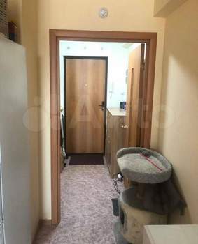 Студия квартира, на длительный срок, 25м2, 10/17 этаж