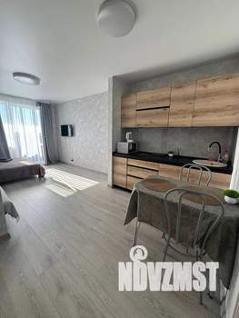 Студия квартира, посуточно, 27м2, 13/17 этаж