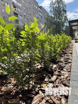 Фото квартиры на продажу (2)