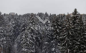 2-к квартира, вторичка, 46м2, 6/17 этаж