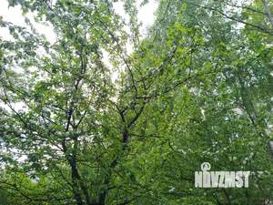 3-к квартира, вторичка, 59м2, 3/5 этаж