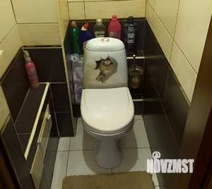 2-к квартира, вторичка, 56м2, 1/9 этаж